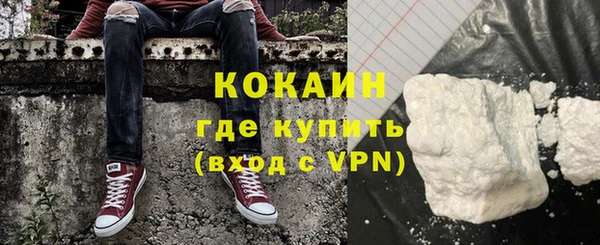 эйфоретик Арсеньев