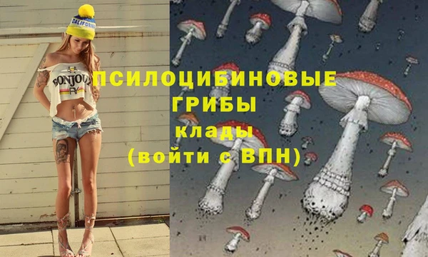 эйфоретик Арсеньев